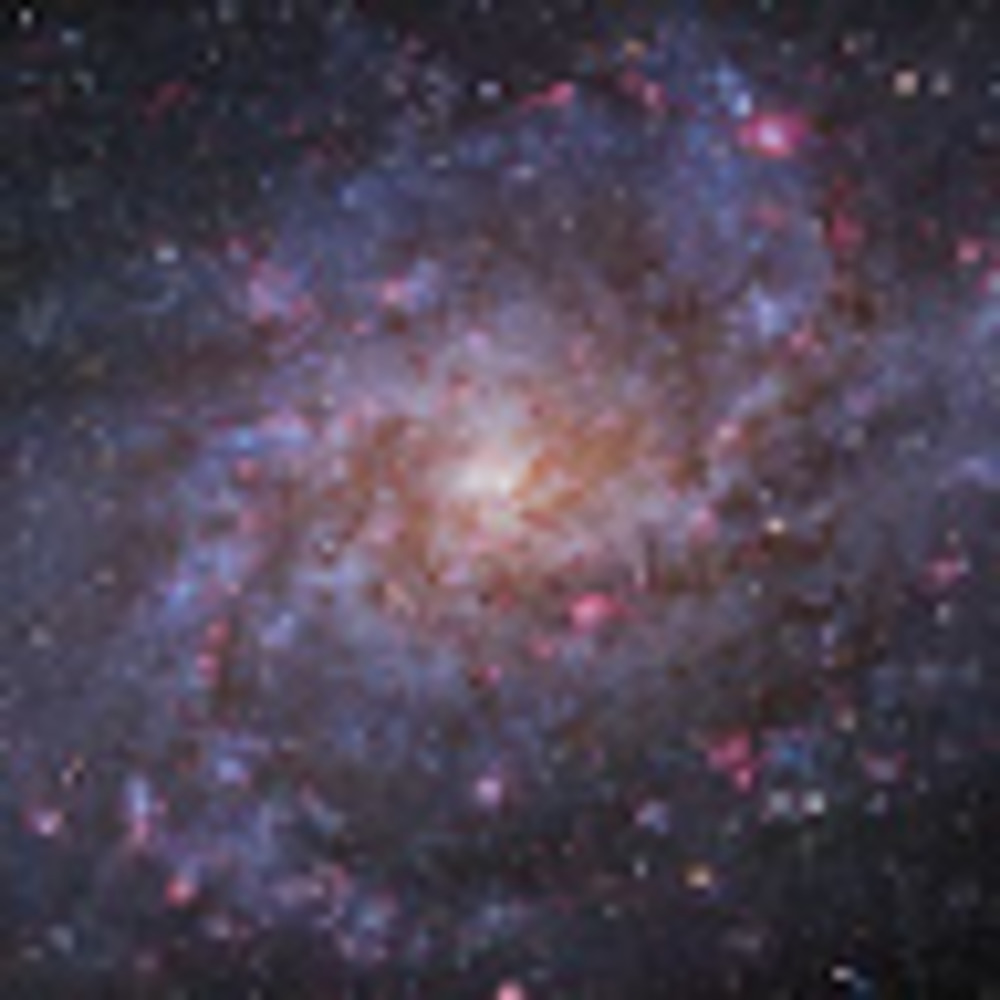 Meet your Posher, Kristin